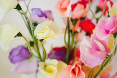 Sweet Peas