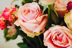 Roses